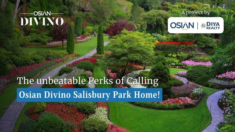 Osian Divino Salisbury Park